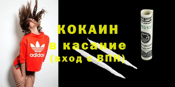 гашик Алексеевка