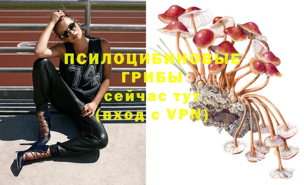 бутират Алексин